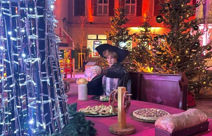 Avec sa « Forêt Enchantée », le Sundgau prolonge la magie de Noël jusqu’au 5 janvier !