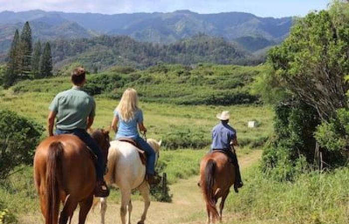 Meilleures choses à faire à Honolulu