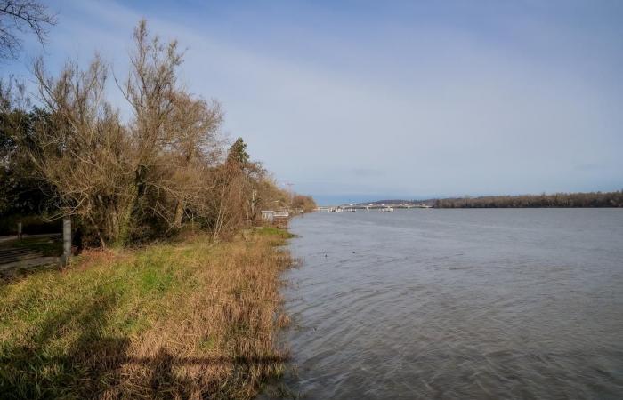 «C’était un cloaque!» » Comment le centre commercial Rives d’Arcins, à Bègles, est-il devenu une « fenêtre verte sur la Garonne » ?