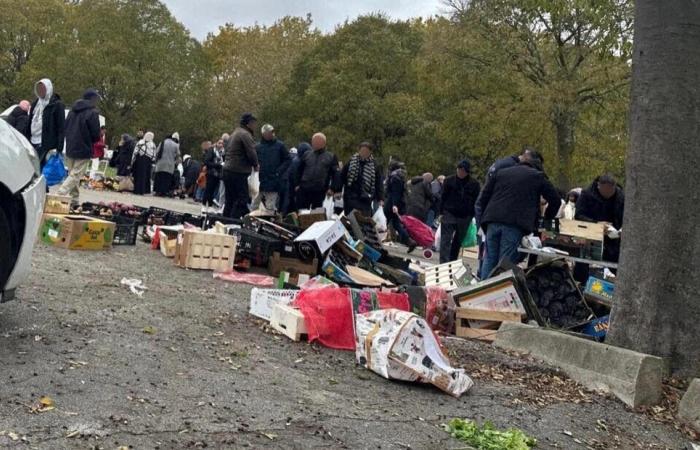 Attaque armée au marché sauvage de La Paillade, une femme blessée