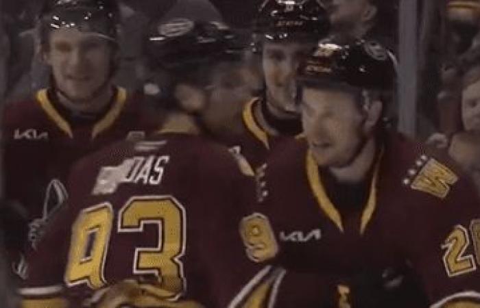 À 26 ans, le Québécois Jordan Martel marque deux buts à son premier match dans la AHL !