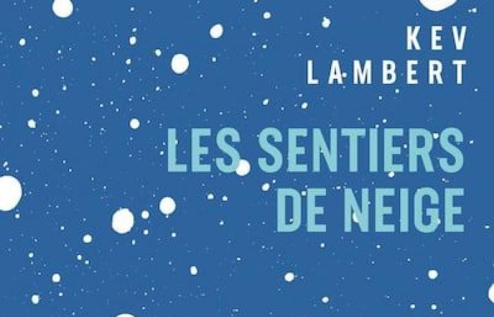 Voici 10 livres québécois à glisser sous le sapin de Noël