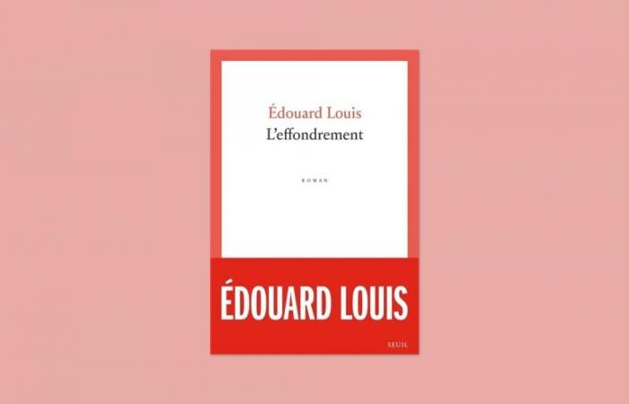 Critique du roman « L’Effondrement » d’Édouard Louis