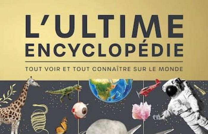 Voici une sélection de beaux livres à offrir ou à s’offrir pour les fêtes de fin d’année