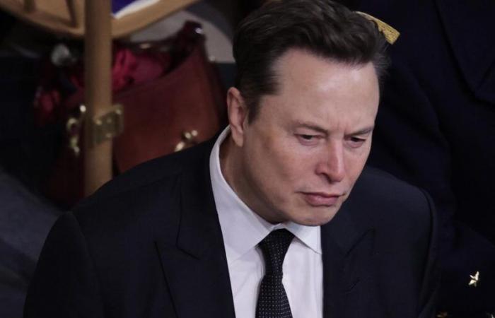 Allemagne : Elon Musk recommande l’AfD