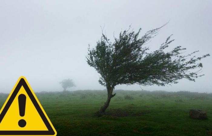 Avertissement météorologique jaune du Met Office émis pour Bolton