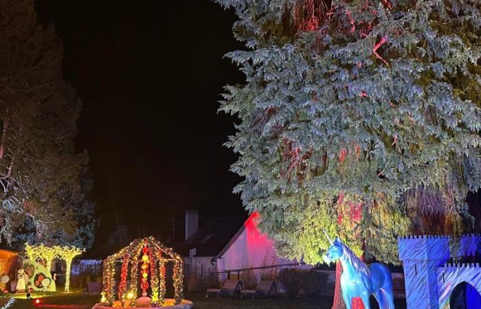 Avec sa « Forêt Enchantée », le Sundgau prolonge la magie de Noël jusqu’au 5 janvier !