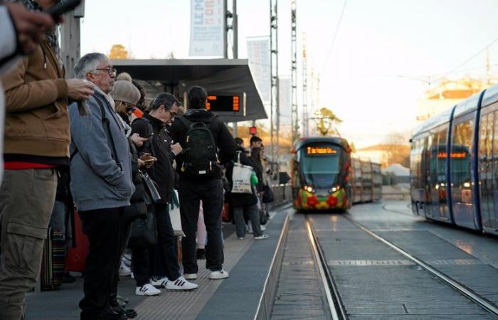 quel bilan un an après le lancement de la gratuité des transports en commun à Montpellier ?