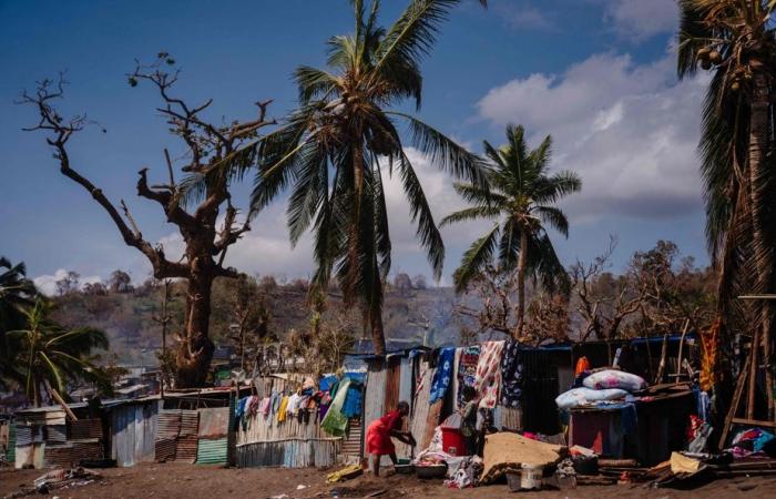 Une semaine après le cyclone Chido, les habitants attendent toujours de l’aide