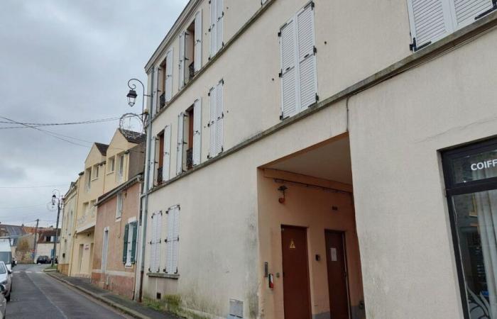 le jeune homme qui a tranché la gorge de sa mère avec un couteau à pain a été mis en examen pour meurtre