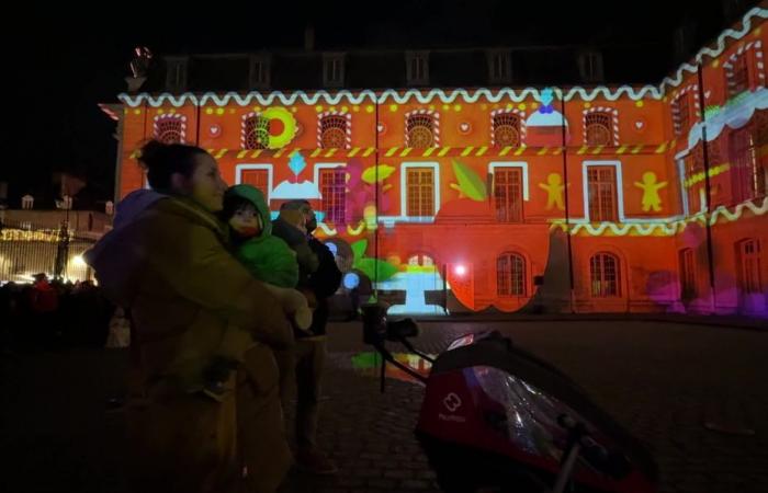 à Dijon, les spectateurs des “Fééries de Noël” sont émerveillés