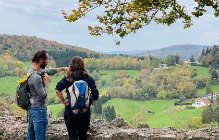 Avec sa « Forêt Enchantée », le Sundgau prolonge la magie de Noël jusqu’au 5 janvier !