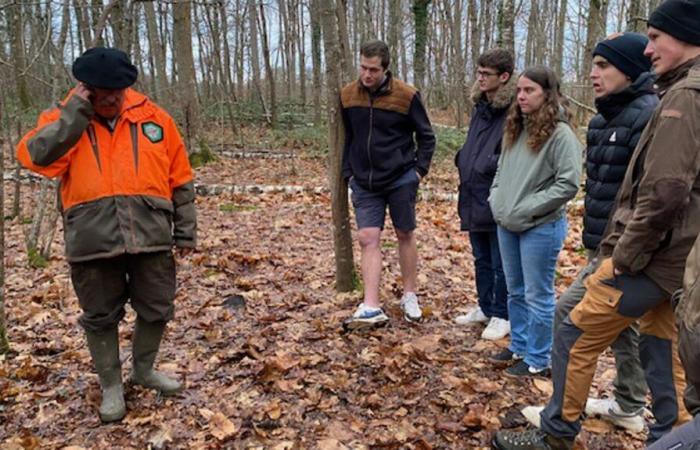 tout sur la recherche du gros gibier blessé