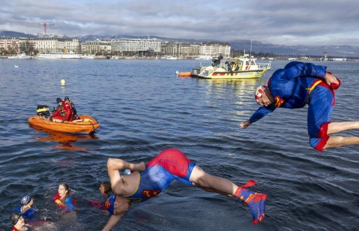 Plus de 4 400 nageurs se jettent à l’eau pour la Coupe de Noël