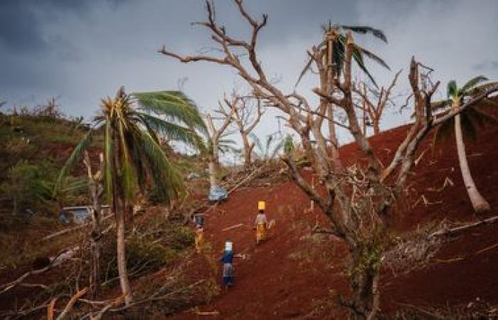 EN IMAGES. Nettoyage, quête d’eau potable et de nourriture… Après le passage du cyclone Chido, les habitants de Mayotte tentent de survivre