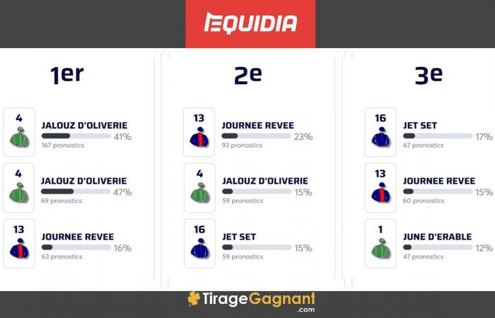 rapports de résultats et de bénéfices