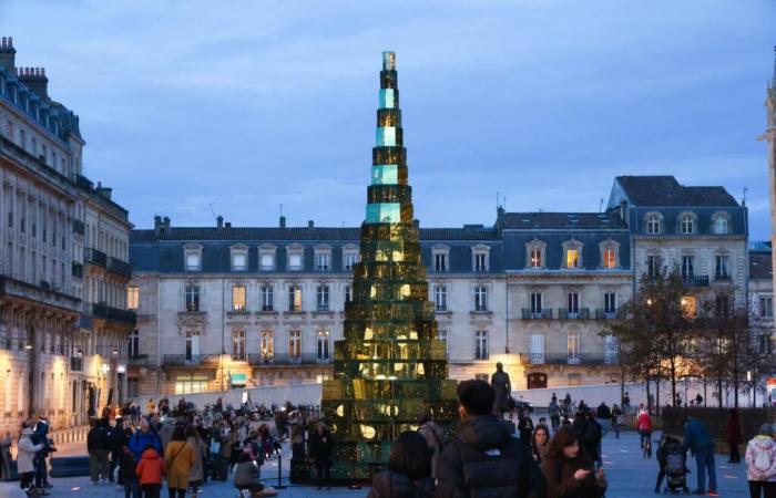 Les mairies ne savent plus vers quel arbre se tourner