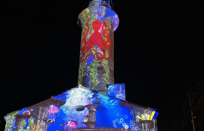 FAIT DU JOUR Retour en images sur le sublime spectacle son et lumière du Grau-du-Roi