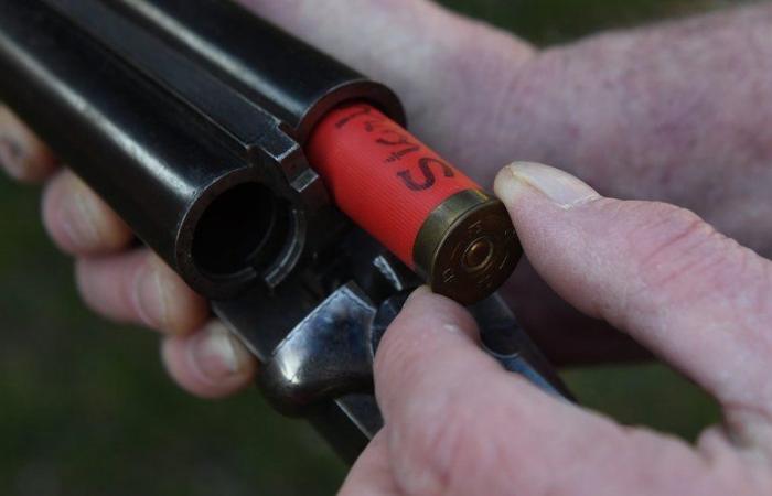 il arrive chez sa nièce, la tue avec un fusil de chasse, puis retourne l’arme contre lui