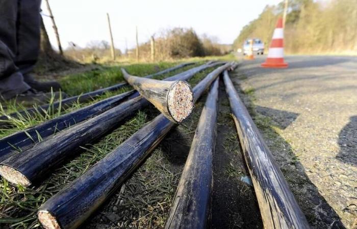 Une série de vols de câbles résolus à Saumur : cinq hommes condamnés