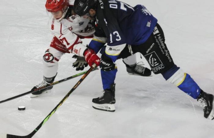 Hockey sur glace – Ligue Magnus. Grenoble pas brillant sous les yeux d’Olivier Giroud, le derby pour Gap… tous les résultats de la 29e journée