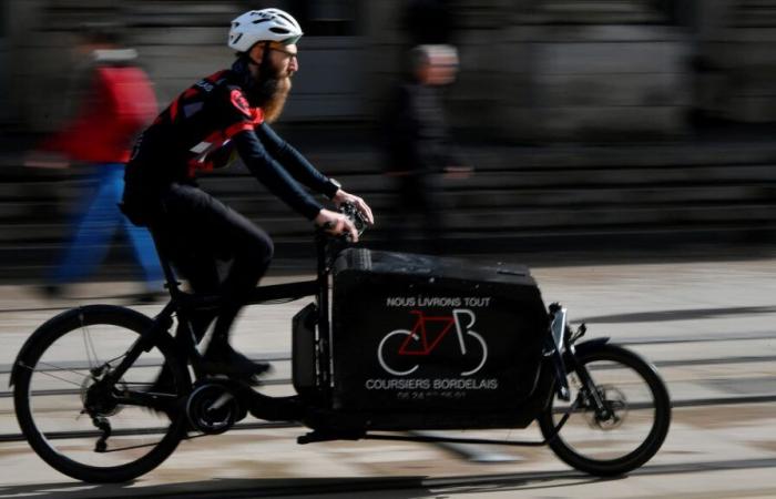 Double corps ou « longtail » ? Comment choisir le bon vélo cargo