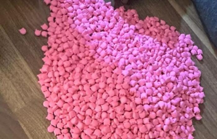 Gambie : plus de 40 000 pilules d’ecstasy saisies, trois arrestations