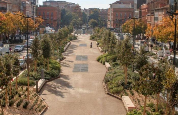 comment les avenues Jean-Jaurès de Toulouse ont changé en 200 ans