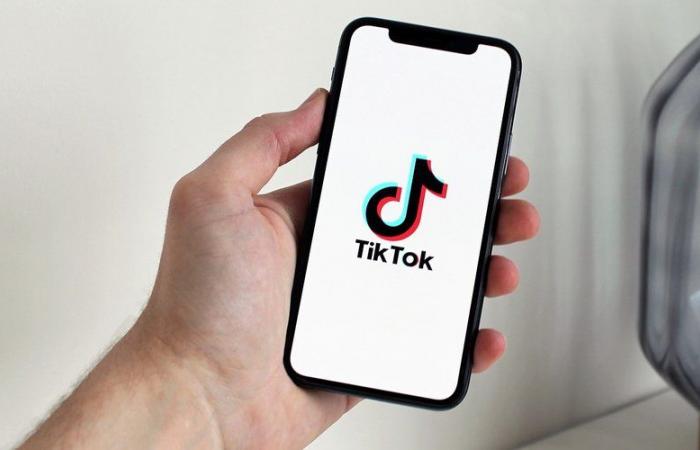 « TikTok est un voyou qui répand des ordures et de la boue »… L’application chinoise interdite un an en Albanie après la mort d’un adolescent de 14 ans