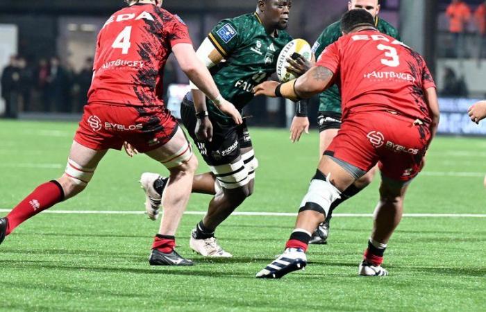 Rugby (Pro D2). Une fin d’année à oublier pour Montauban