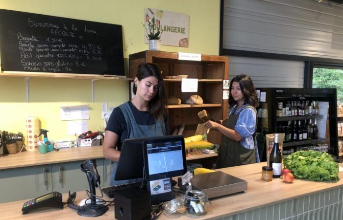 Informations sur la tournée | Bières, fruits et légumes… Une nouvelle façon de consommer local à Saint-Avertin