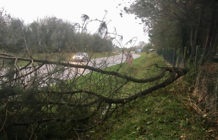 orages et rafales à 120 km/h ce dimanche, vigilance jaune activée