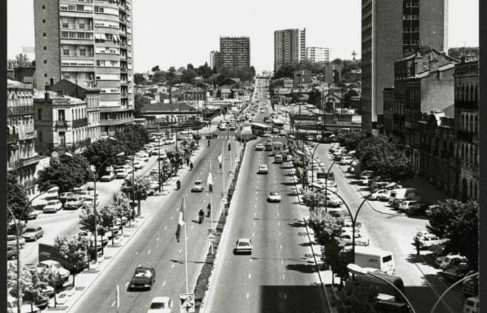 comment les avenues Jean-Jaurès de Toulouse ont changé en 200 ans