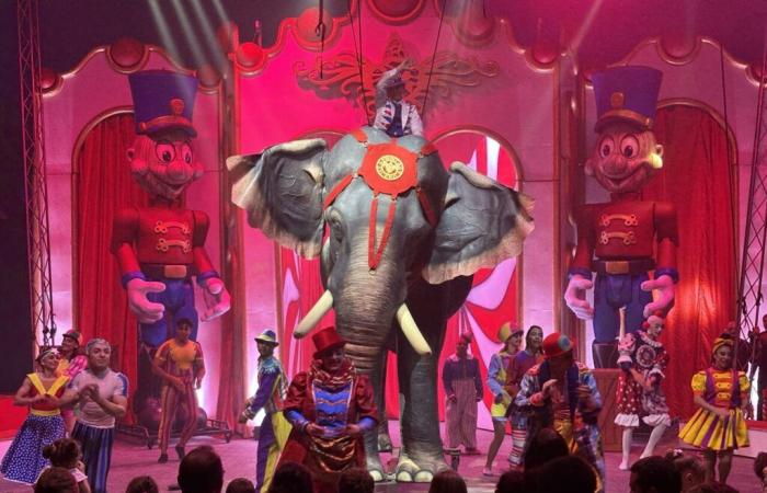 Bon. Ce cirque avec de faux animaux se produit, une « innovation globale » à découvrir