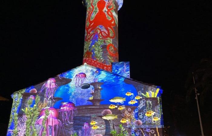 FAIT DU JOUR Retour en images sur le sublime spectacle son et lumière du Grau-du-Roi