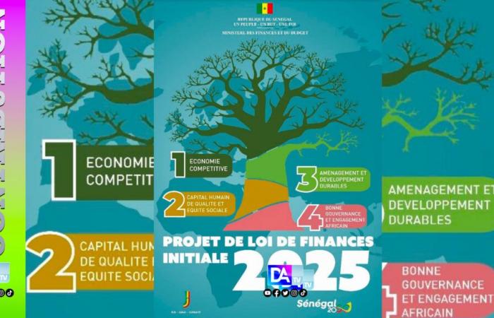 Arrive enfin la loi de finances 2025 Par Dr Abdourahmane BA