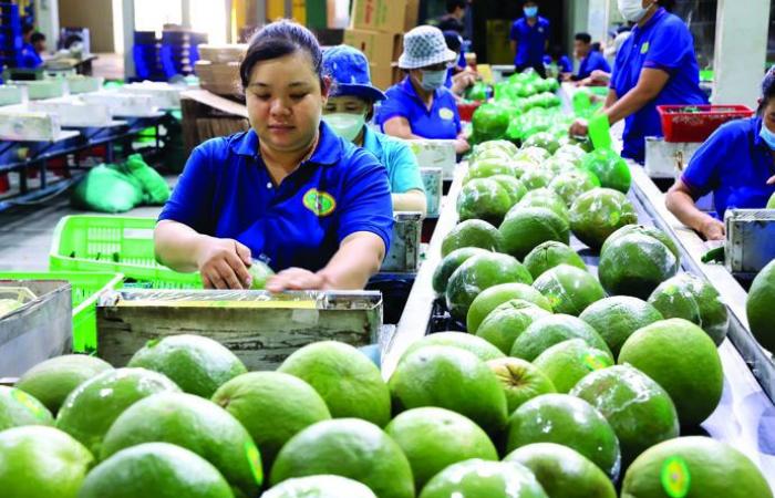 Stimuler la croissance du crédit, un levier pour l’économie