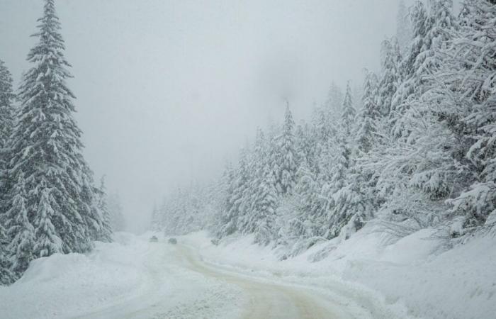 ???? Noël en avance, fortes chutes de neige en montagne ☃️