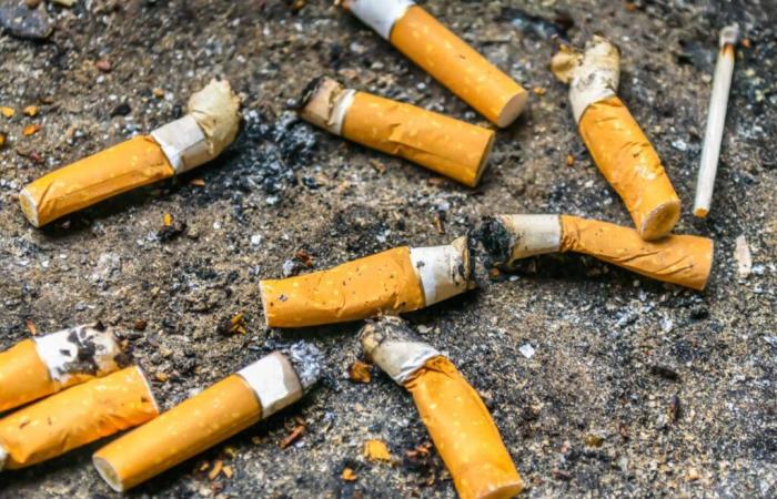 Le Conseil d’Etat valide les missions imposées à l’éco-organisme Alcome concernant les mégots de cigarettes