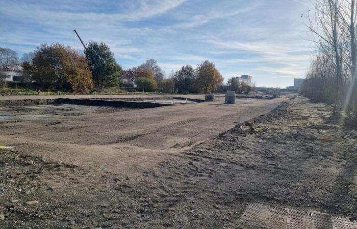 Toulouse. Sur cette ancienne piste, le bitume est soufflé pour créer un parc de plusieurs hectares