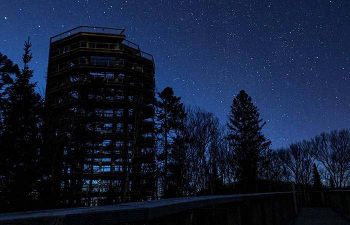 Sentier des Cimes: night stroll with poutine and tartiflette in the air