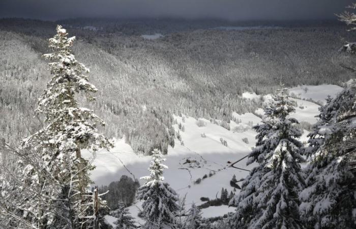 Gros flocons de neige et vents glacials… Trois départements alpins en alerte avalanche