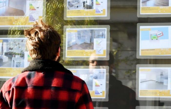 pour ces professionnels de l’immobilier, “on est dans le mur”