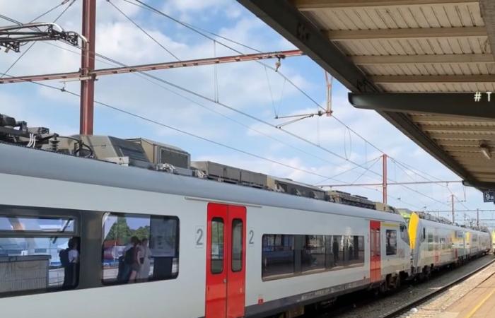 Belgique. Un « bonjour » dans un train perçu comme une provocation en Flandre [Vidéo]