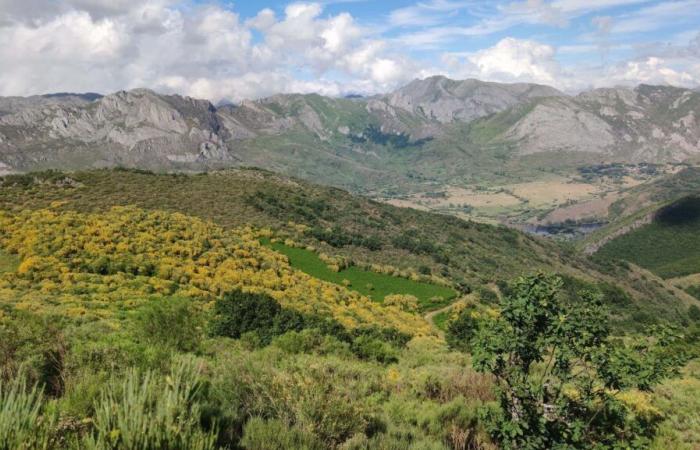 modèle innovant pour lutter contre les incendies de forêt