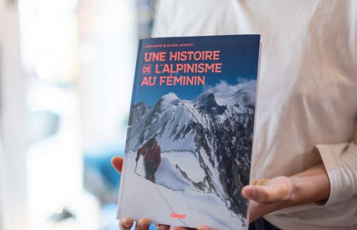 un roman, un essai et un beau livre de montagne