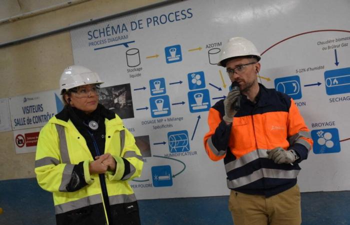 À Saint-Malo, Timac Agro mise sur les chaudières biomasse pour décarboner sa production