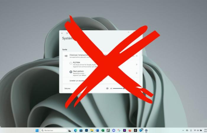 votre PC est devenu silencieux comme une carpe ? Normal, un autre cliché de la mise à jour 24H2