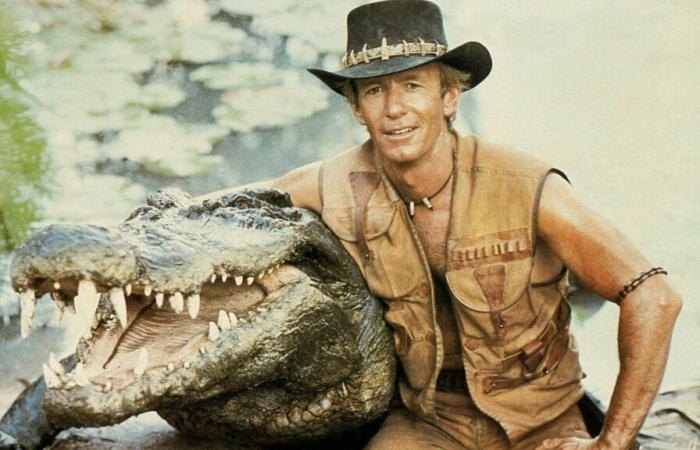 Le crocodile du film à succès Crocodile Dundee meurt paisiblement, selon le zoo