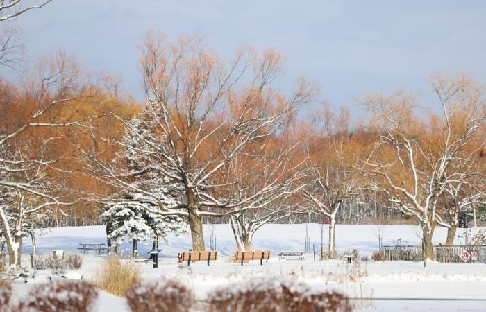 10 à 15 cm de neige attendus au Québec